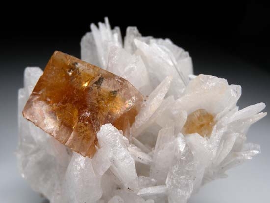 Fluorite on Celestite from Clay Center, Ohio, USA [db_pics/pics/c143c.jpg]