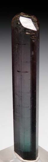 Elbaite from Virgem da Lapa, Minas Gerias, Brazil [db_pics/pics/c202b.jpg]