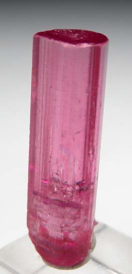 Elbaite from Stewart Mine, Pala, San Diego Co., California, USA [db_pics/pics/c204a.jpg]