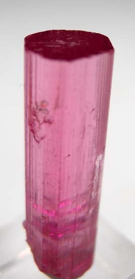 Elbaite from Stewart Mine, Pala, San Diego Co., California, USA [db_pics/pics/c204b.jpg]