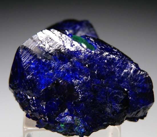 Azurite from Milpillas Mine, Cuitaca, Sonora, Mexico [db_pics/pics/c248c.jpg]