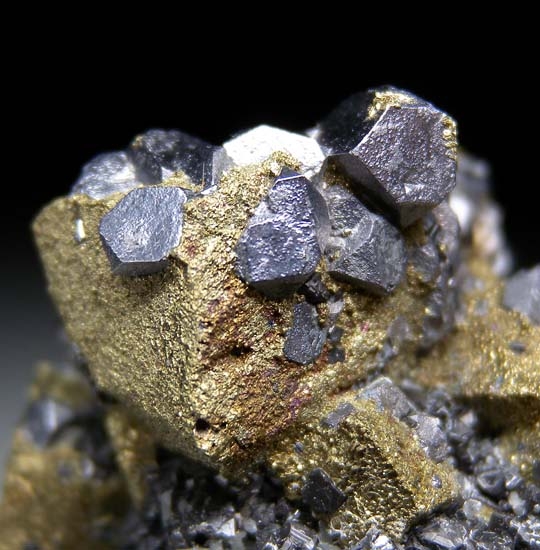 Galena on Chalcopyrite with Sphalerite from 9th of September Mine, Madan, Bulgaria [db_pics/pics/c265c.jpg]