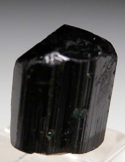 color change Dravite from Nchongo, Umba Valley, Tanzania [db_pics/pics/c268a.jpg]