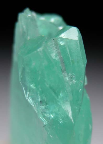 Phosphophyllite from Unificada Mine, Potosi, Bolivia [db_pics/pics/c290c.jpg]