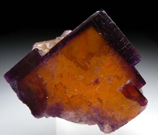 Fluorite from Cave-in-Rock, Hardin Co., Illinois, USA [db_pics/pics/c294a.jpg]