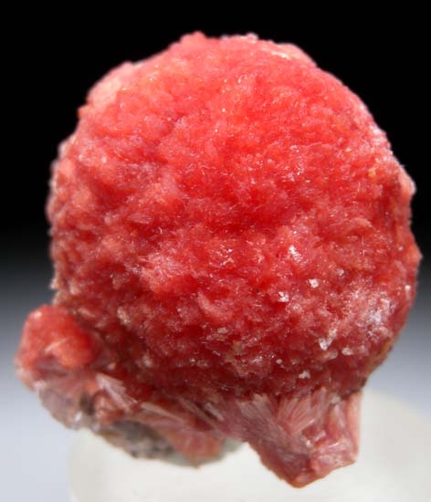 Inesite from Wessels Mine, Kuruman, South Africa [db_pics/pics/c300c.jpg]