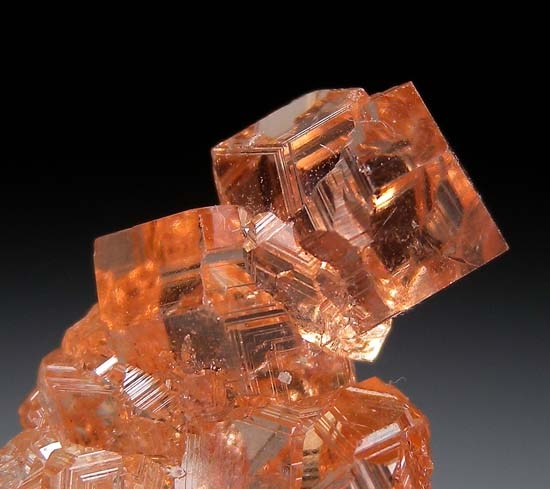 Grossular from Jeffrey Mine, Asbestos, Quebec, Canada [db_pics/pics/c339b.jpg]