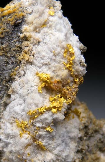 Gold from Virginia Town, Ontario, Canada [db_pics/pics/c346b.jpg]