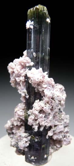 Tourmaline with Lepidolite from Perderniera Mine, Minas Gerais, Brazil [db_pics/pics/c351a.jpg]