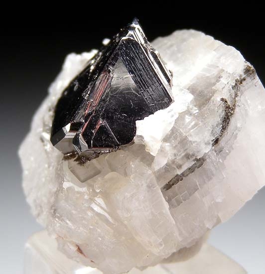 Carrollite from Kamoya South Mine, Katanga, Congo (DRC) [db_pics/pics/c355b.jpg]