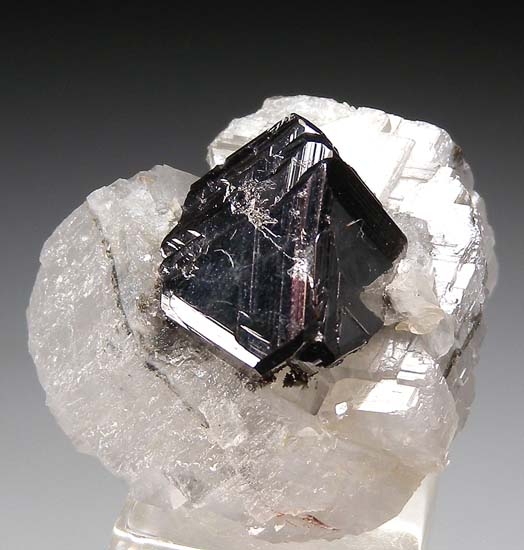 Carrollite from Kamoya South Mine, Katanga, Congo (DRC) [db_pics/pics/c355d.jpg]