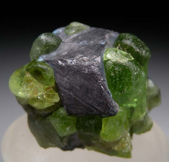 Magnetite with Peridot from Sapat Valley, Mansehra, NWFP, Pakistan [db_pics/pics/c370a.jpg]