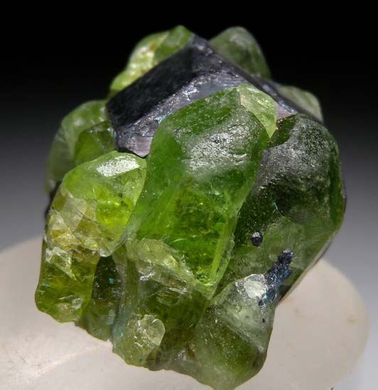 Magnetite with Peridot from Sapat Valley, Mansehra, NWFP, Pakistan [db_pics/pics/c370b.jpg]