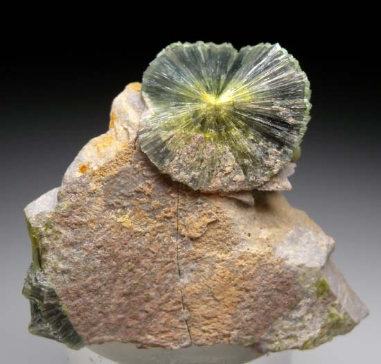 Wavellite from Montgomery Co., Arkansas, USA [db_pics/pics/c372a.jpg]