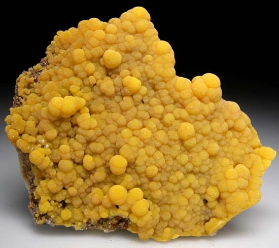 Mimetite from San Pedro Corralitos, Chihuahua, Mexico [db_pics/pics/c380b.jpg]