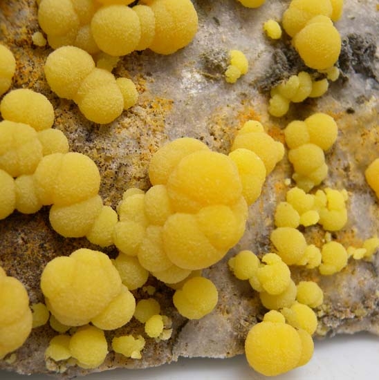 Mimetite from San Pedro Corralitos, Chihuahua, Mexico [db_pics/pics/c380c.jpg]