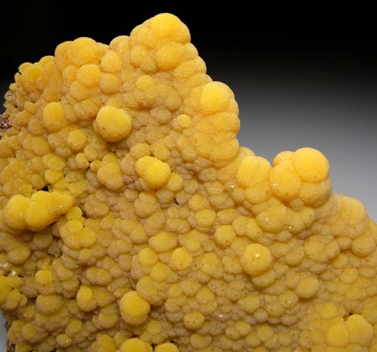 Mimetite from San Pedro Corralitos, Chihuahua, Mexico [db_pics/pics/c380d.jpg]