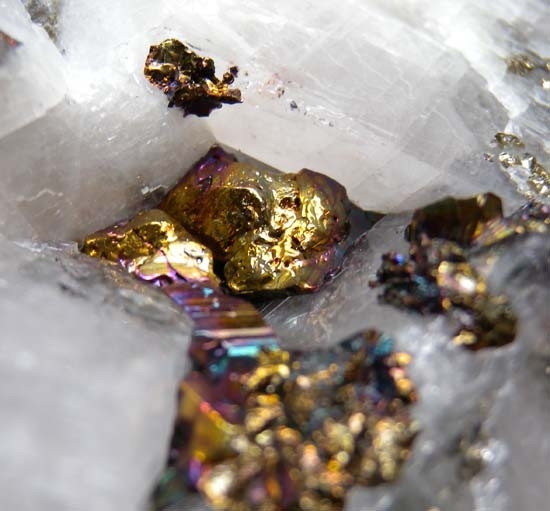 Carrollite with Chalcopyrite from Kamoya South Mine, Katanga, Congo (DRC) [db_pics/pics/c392d.jpg]