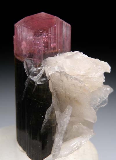 Tourmaline with Albite from Stak Nala, Skardu, Pakistan [db_pics/pics/c393b.jpg]