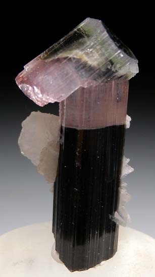 Tourmaline with Albite from Stak Nala, Skardu, Pakistan [db_pics/pics/c395a.jpg]