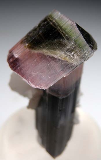 Tourmaline with Albite from Stak Nala, Skardu, Pakistan [db_pics/pics/c395c.jpg]