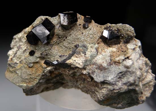 Andradite var. Melanite from San Benito Co., California, USA [db_pics/pics/c402a.jpg]