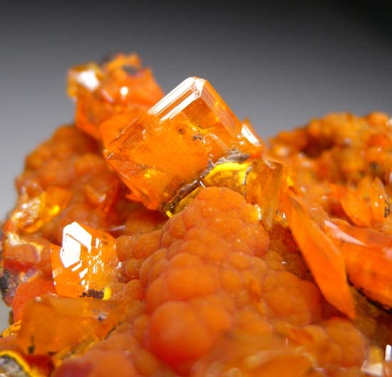 Wulfenite on Mimetite from 79 Mine, Gila Co., Arizona, USA [db_pics/pics/c413c.jpg]