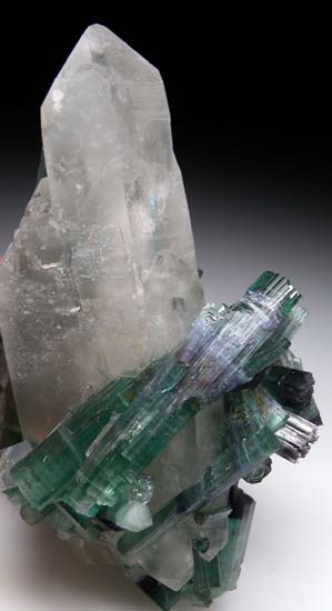 Tourmaline on Quartz from Minas Gerais, Brazil [db_pics/pics/c425d.jpg]