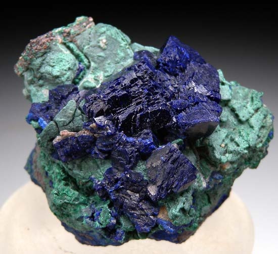 Azurite on Malachite from Katanga, Congo (DRC) [db_pics/pics/c442a.jpg]