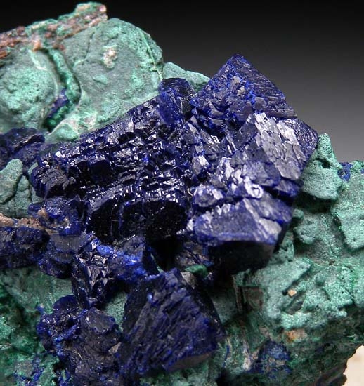Azurite on Malachite from Katanga, Congo (DRC) [db_pics/pics/c442b.jpg]