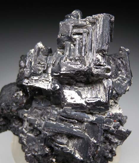 Galena with Sphalerite from 9th of September Mine, Madan, Bulgaria [db_pics/pics/c445b.jpg]