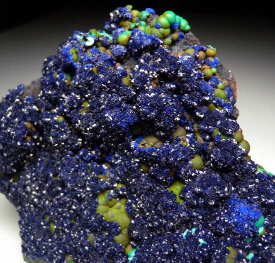 Azurite with Malachite from Bisbee, Cochise Co., Arizona, USA [db_pics/pics/c470c.jpg]