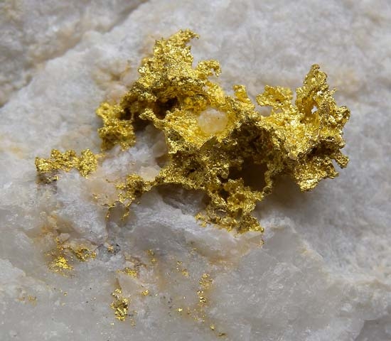 Gold on Quartz from 16-1 Mine, Alleghany, Sierra Co., California, USA [db_pics/pics/c478c.jpg]