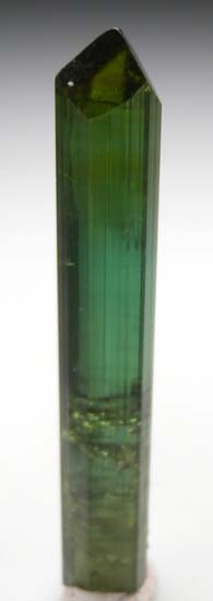 Tourmaline from Pederniera Mine, Minas Gerais, Brazil [db_pics/pics/c481a.jpg]