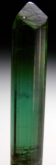 Tourmaline from Pederniera Mine, Minas Gerais, Brazil [db_pics/pics/c481b.jpg]