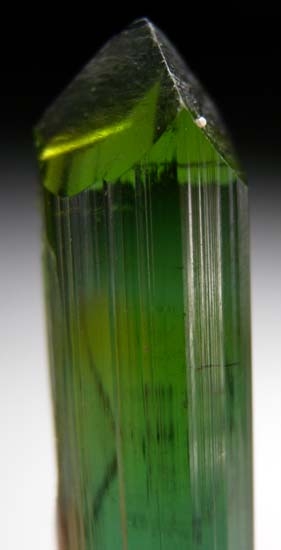 Tourmaline from Pederniera Mine, Minas Gerais, Brazil [db_pics/pics/c481c.jpg]