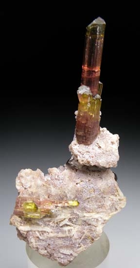 Tourmaline on Lepidolite (R) from Golconda Mine, Minas Gerais, Brazil [db_pics/pics/c483b.jpg]