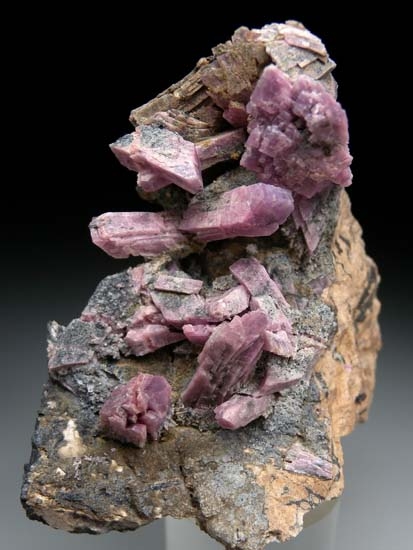 Inesite from Hale Creek, Trinity Co., California [db_pics/pics/c486a.jpg]