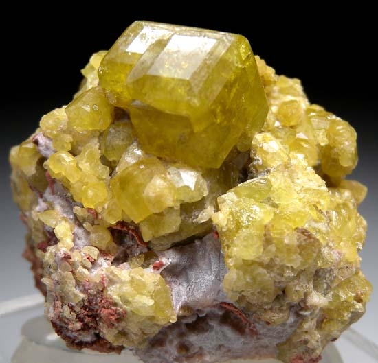 Andradite from Plan de Gallos, Piedra Parada, Las Vigas, Veracruz, Mexico [db_pics/pics/c501a.jpg]
