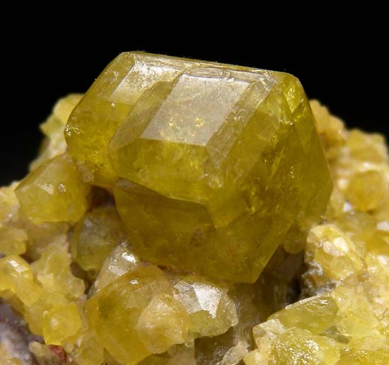 Andradite from Plan de Gallos, Piedra Parada, Las Vigas, Veracruz, Mexico [db_pics/pics/c501c.jpg]