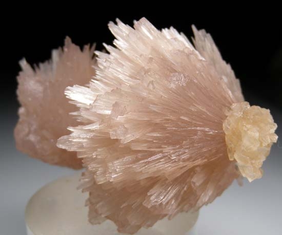 Strontianite with Calcite from Rosiclare Level, Minerva #1 Mine, Cave-in-Rock, Hardin Co., Illinois, USA [db_pics/pics/c502b.jpg]