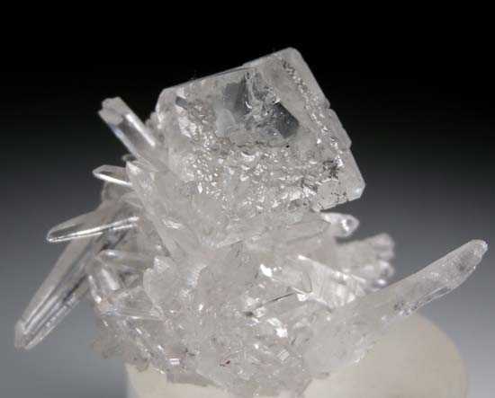 Fluorite on Quartz from Huanzala Mine, Peru [db_pics/pics/c504a.jpg]