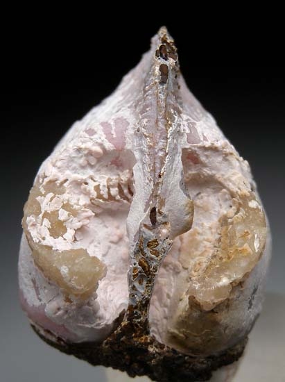 Rhodochrosite after bivalve from Kerch, Crimea, Ukraine [db_pics/pics/c525b.jpg]