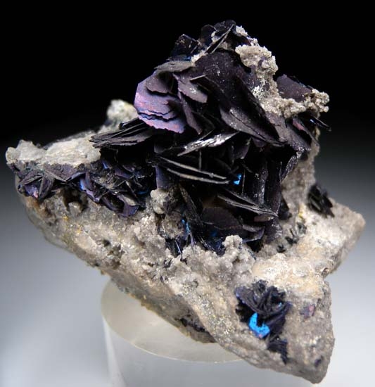 Covellite from Annie Vein, Summitville, Colorado, USA [db_pics/pics/c560a.jpg]
