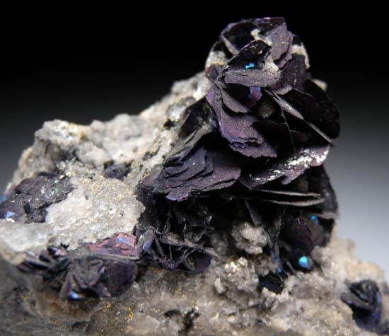 Covellite from Annie Vein, Summitville, Colorado, USA [db_pics/pics/c560b.jpg]
