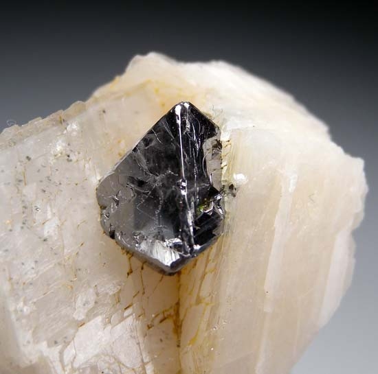 Carrollite from Kamoya South Mine, Kambove, Katanga, Congo [db_pics/pics/c571b.jpg]
