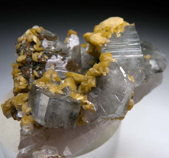 Apatite from Panasquiera, Portugal [db_pics/pics/c572e.jpg]