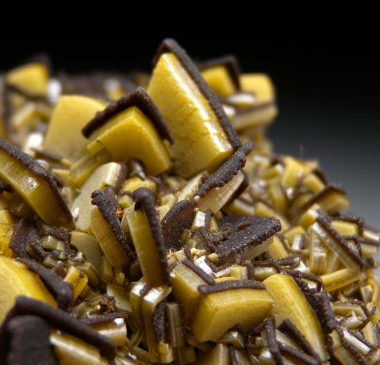 Wulfenite from Mina Oujela, Mapimi, Durango, Mexico [db_pics/pics/c573c.jpg]