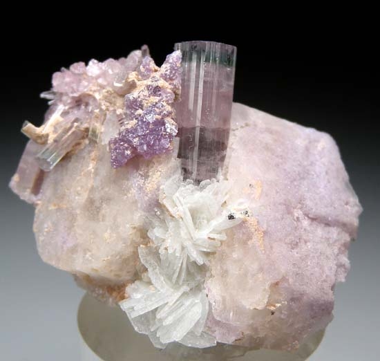 Tourmaline with Lepidolite from Stewart Mine, Pala, San Diego Co., California, USA [db_pics/pics/c581a.jpg]