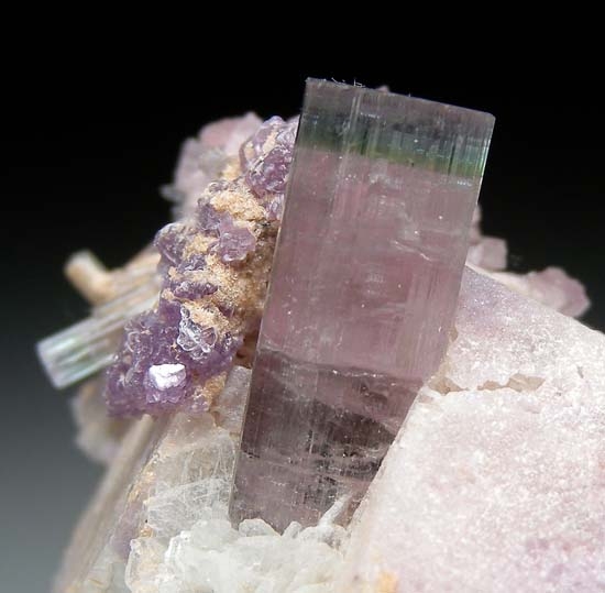 Tourmaline with Lepidolite from Stewart Mine, Pala, San Diego Co., California, USA [db_pics/pics/c581b.jpg]
